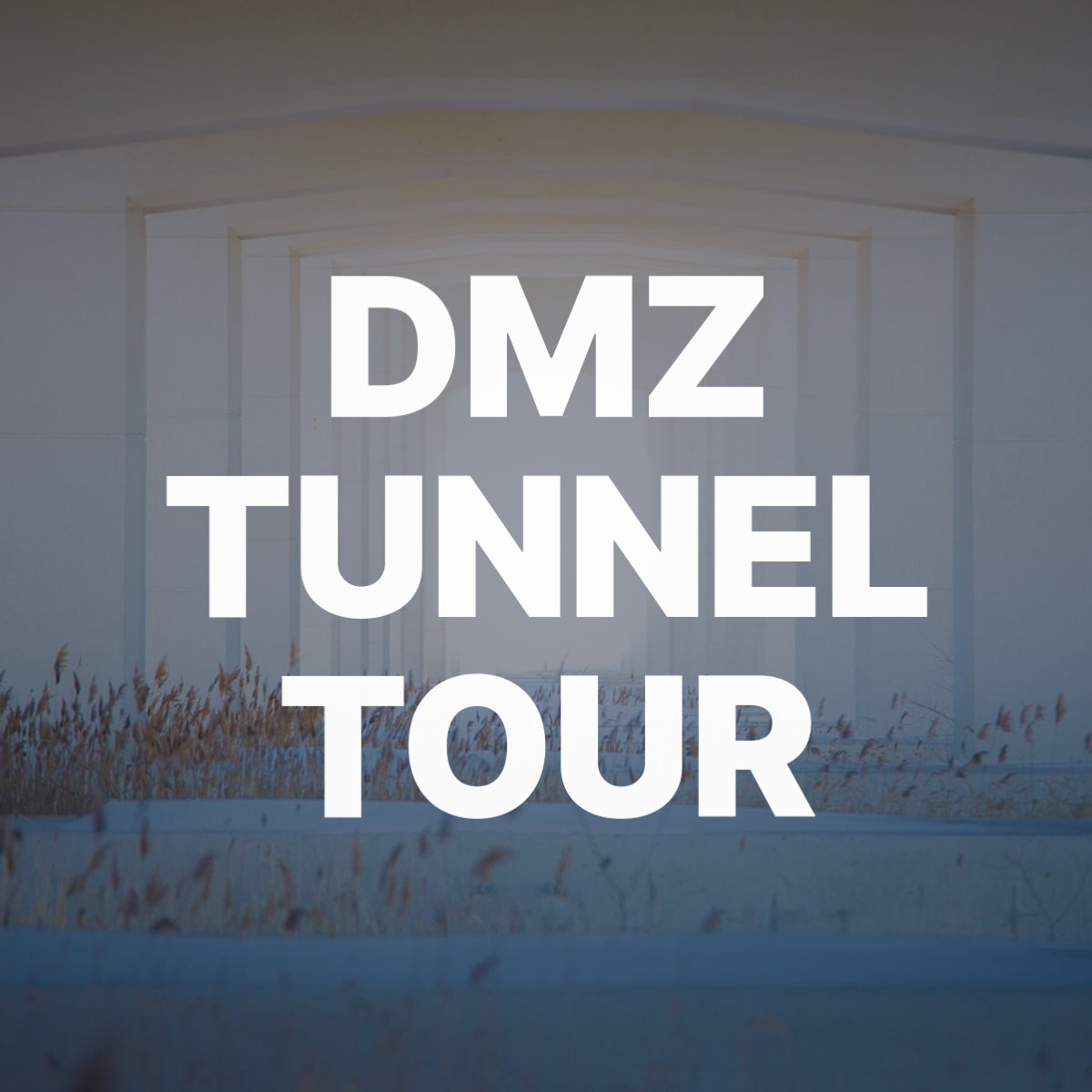 DMZ Tunnel tour 120242