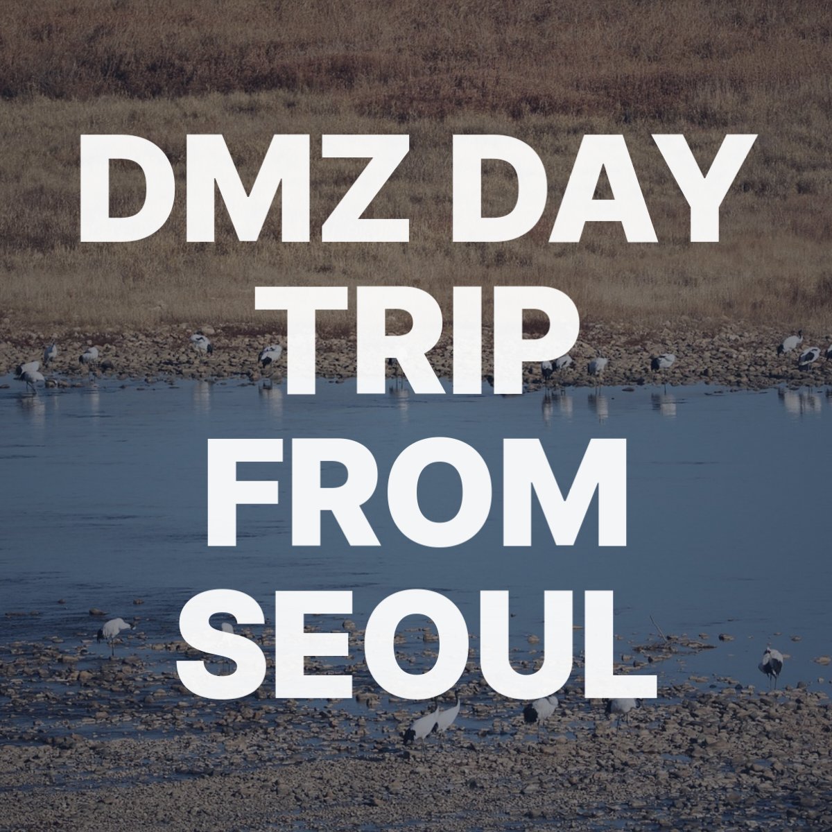 DMZ day trip from Seoul 000243