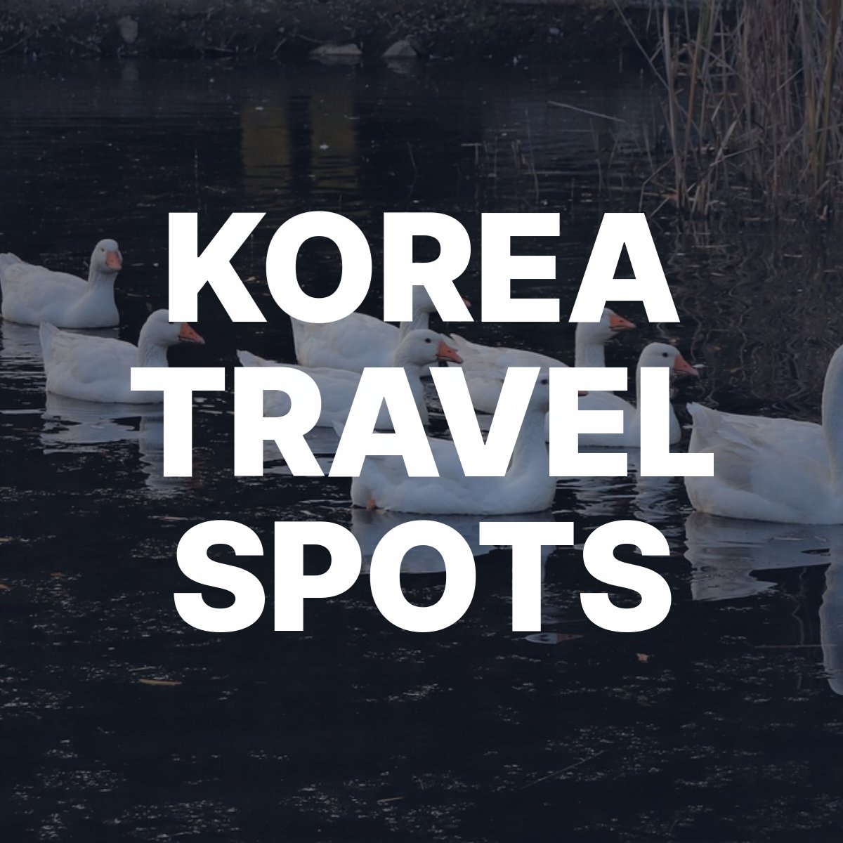 korea travel spots 220228