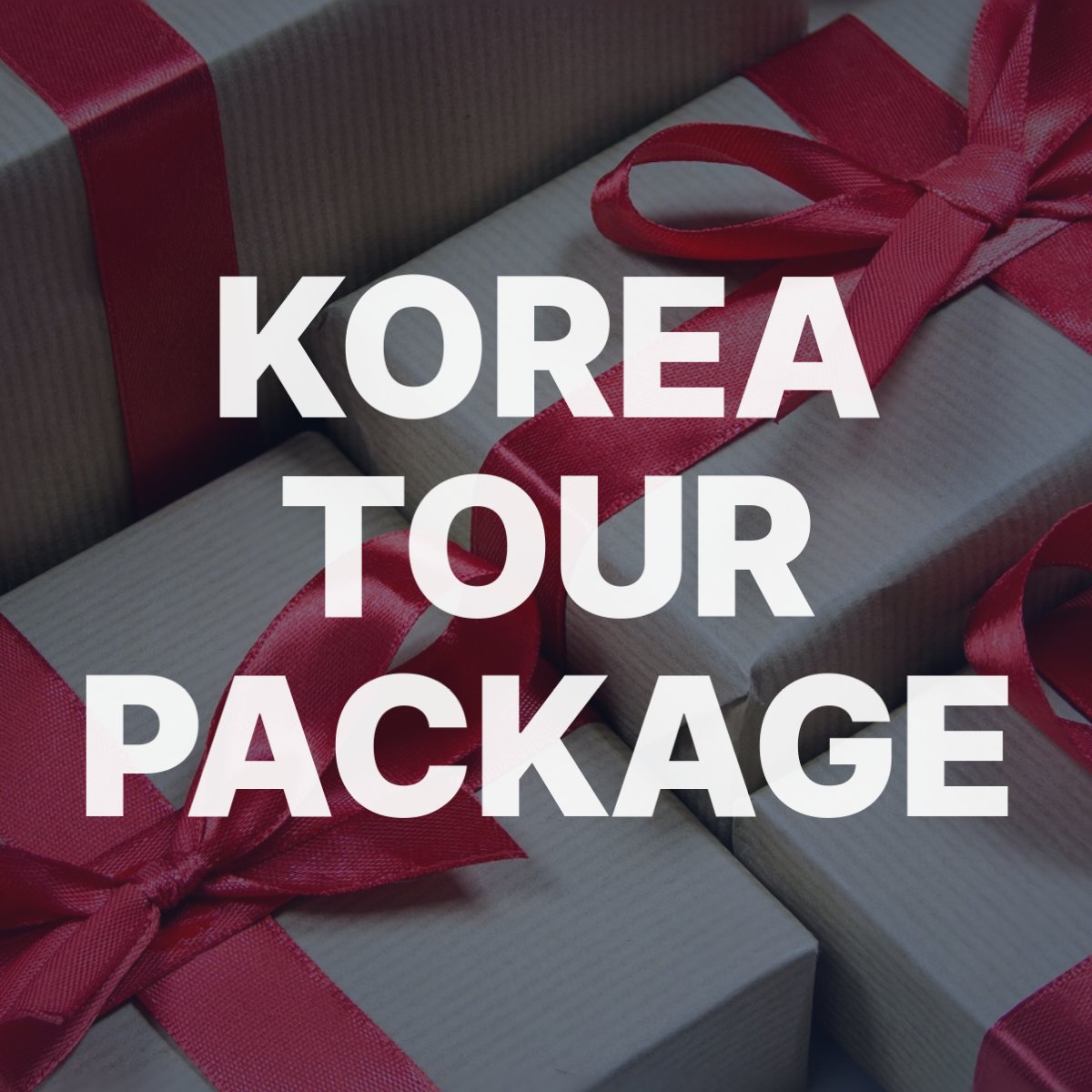 Korea tour package 080210