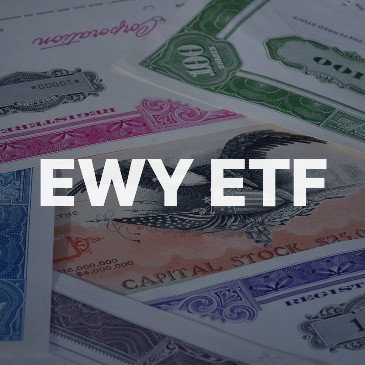 ewy etf 143201