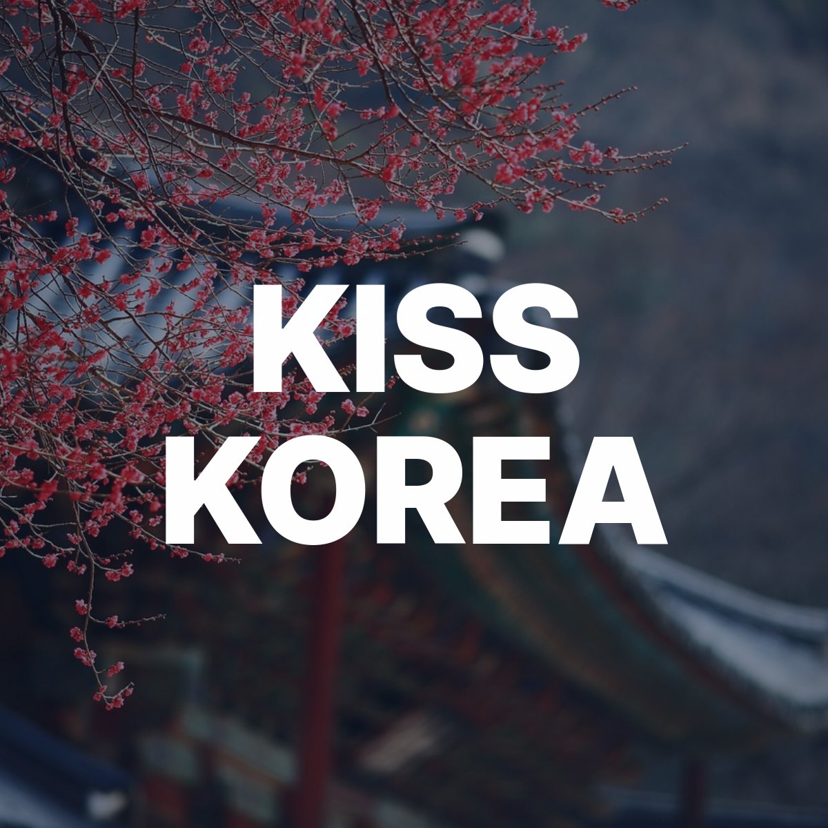 kiss korea 180154
