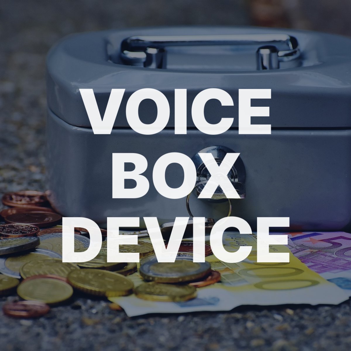 voice box device 220210