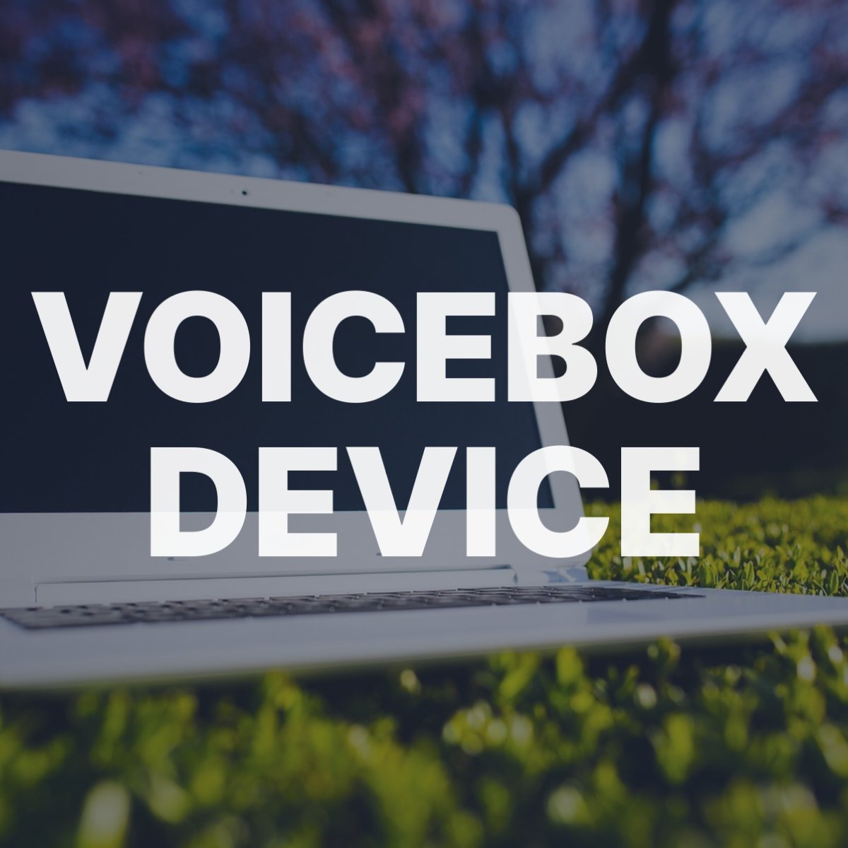 voicebox device 193210