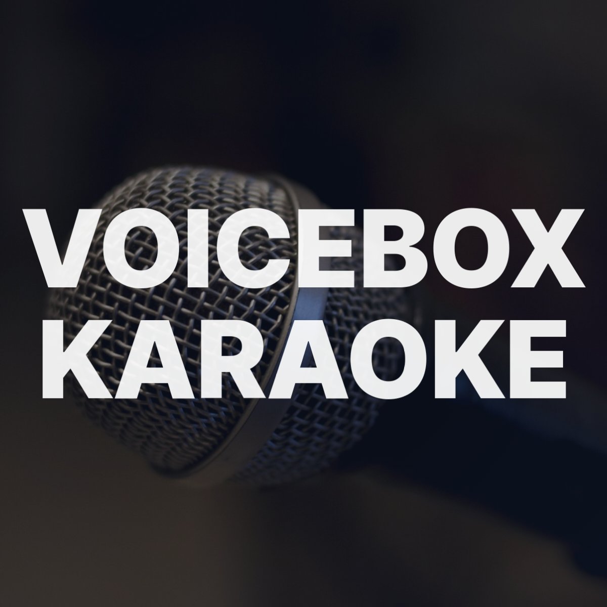 voicebox karaoke 170204
